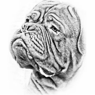 Porte-clé Photo Sculpture Dogue De Bordeaux - mastiff français