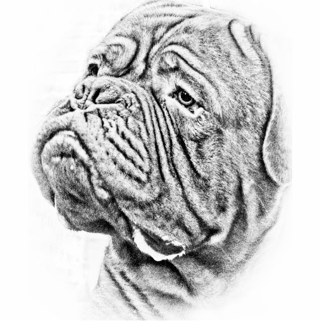 Porte-clé Photo Sculpture Dogue De Bordeaux - mastiff français (Devant)