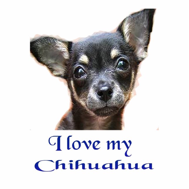 Porte-clé Photo Sculpture J'aime mon Chihuahua (Devant)