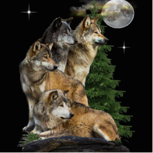 Porte-clé Photo Sculpture Loup