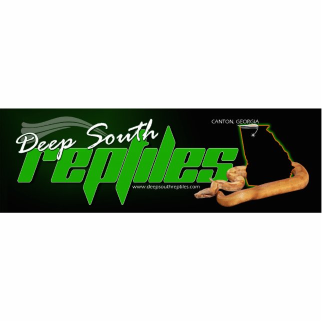 Porte-clé Photo Sculpture Porte - clé photo (Devant)