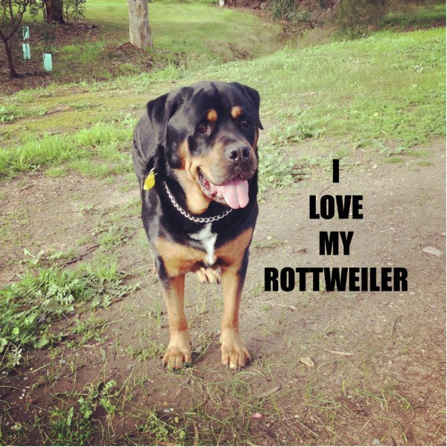 Porte-clé Photo Sculpture rottweiler love w pic tan (Devant)