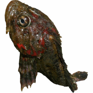 Porte-clé Photo Sculpture Seigneur irlandais Rock Fish