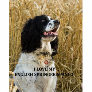 Porte-clé Photo Sculpture springer anglais spaniel bwlove w pic
