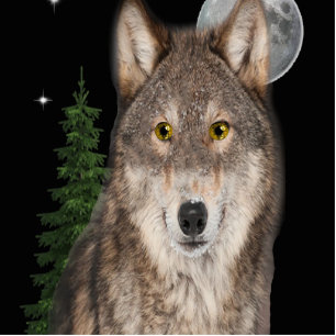 Porte-clé Photo Sculpture wolf art