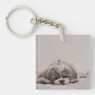 Porte - clé Shih tzu customisé, chien couché