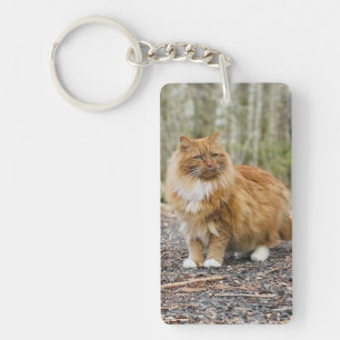 Porte - clé spécial Kitty Nemo