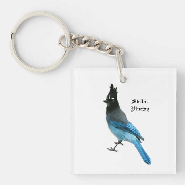 Porte - clé Stellar Blue Jay (Devant)