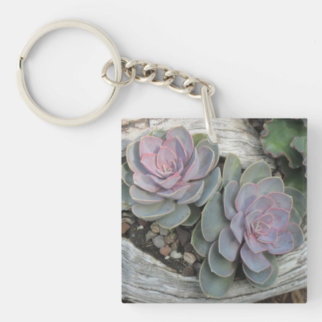Porte - clé Succulent (Devant)