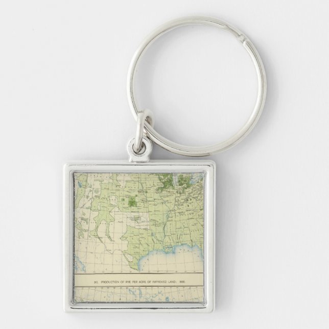 Porte-clés 49 Rye 1890 (Devant)