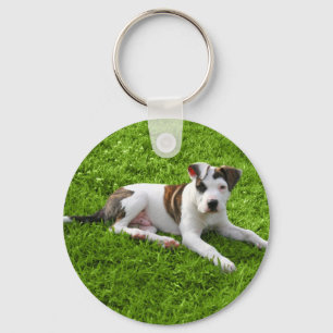 Porte-clés À l'os de pitbull de chiot