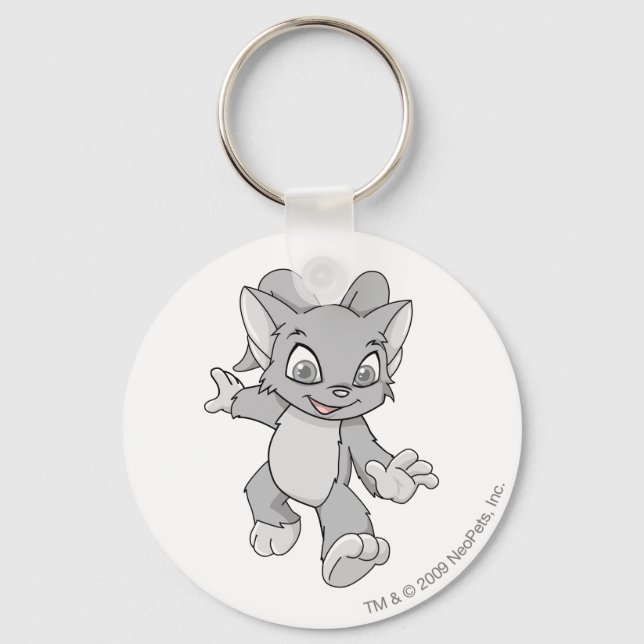 Porte-clés Acara Silver (Recto)