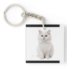 Accessoire Feline élégant et adorable