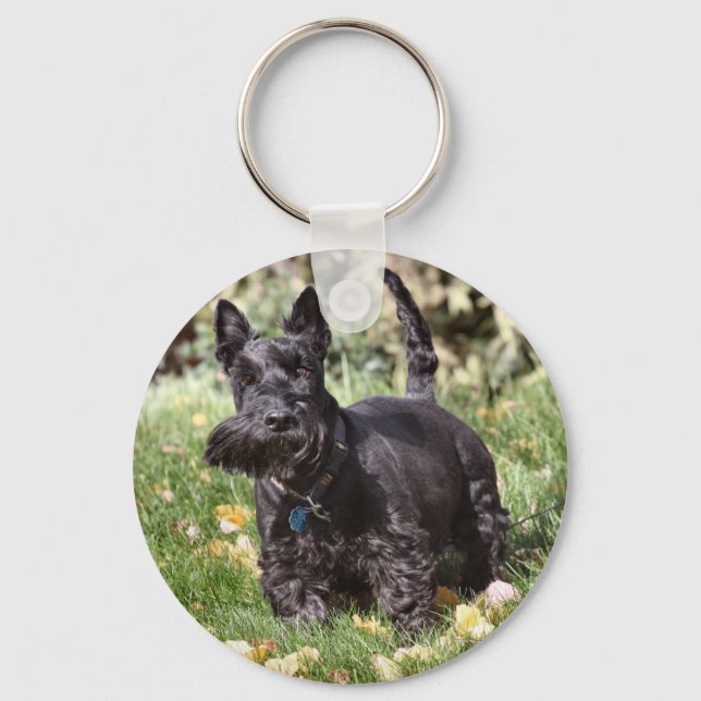 Porte-clés Ach (Recto)