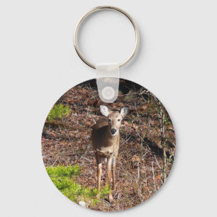 Porte-clés Adorable Cerf dans les Bois Photographie de la nat