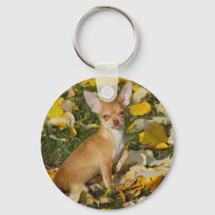 Porte-clés Adorable Chihuahua Chiot entre Feuilles jaunes