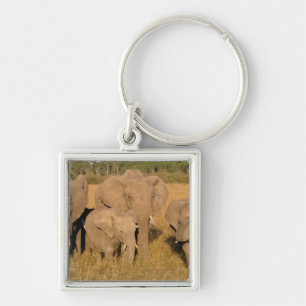Porte-clés Afrique, Kenya, Masai Mara. Éléphant d'Afrique