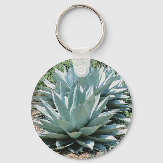 Porte-clés Agave Succulent Plante Cactus Vert sauge (Recto)