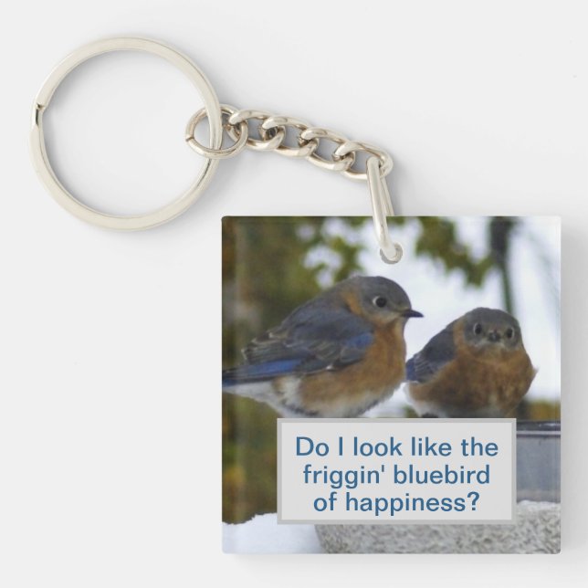 Porte-clés Ai-je l'air d'un oiseau bleu de bonheur (Devant)
