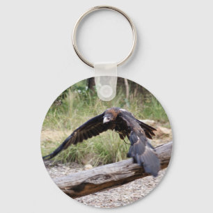 Porte-clés Aigle à queue plate