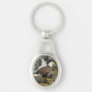 Porte-clés Aigle à tête blanche