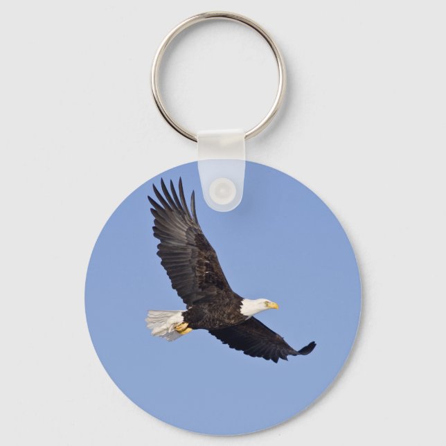 Porte-clés Aigle à tête blanche américaine (Recto)