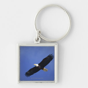 Porte-clés Aigle chauve montant, Alaska