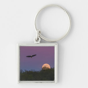 Porte-clés Aigle de la super-lune rose