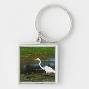 Porte-clés Aiguille de chasse