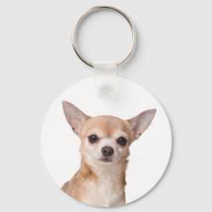 Porte-clés Aimer Chihuahua Chien chiot
