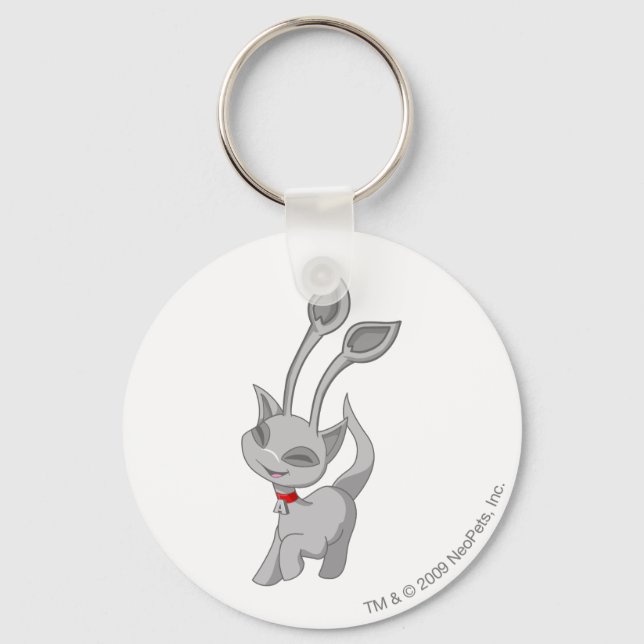 Porte-clés Aisha Silver (Recto)