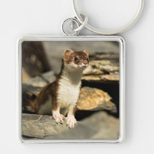 Porte-clés Alert Weasel