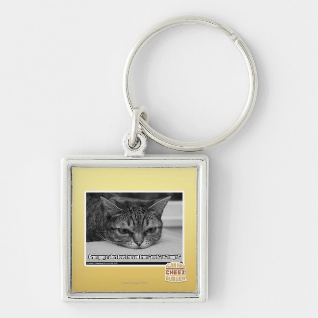 Porte-clés Alerte de Grumpage (Devant)