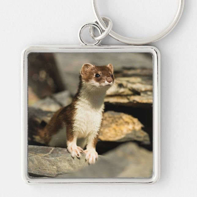 Porte-clés Alerte Weasel (Devant)