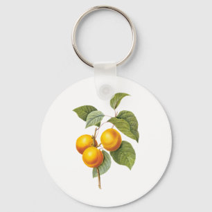 Porte-clés Aliments Anciens Fruits, Abricot Pêche par Redoute