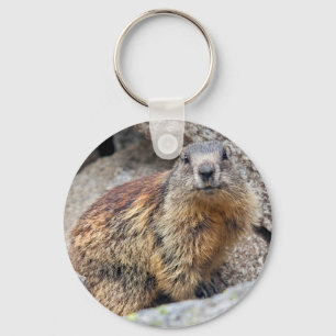 Porte-clés Alpine Marmot Keyring