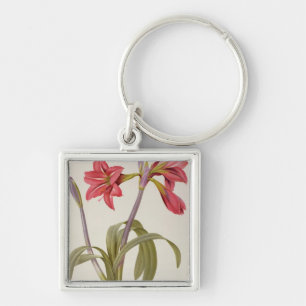 Porte-clés Amaryllis Brasiliensis