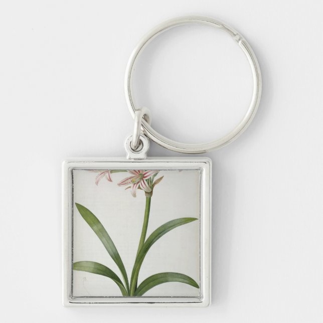 Porte-clés Amaryllis Vittata (Devant)