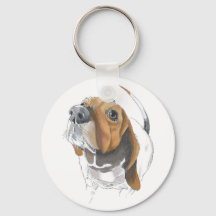 Amateurs de Hound Cute Basset
