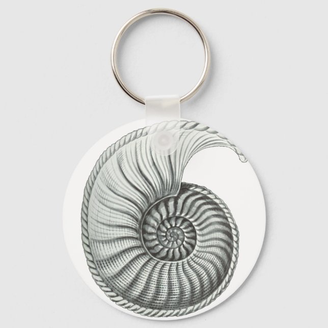 Porte-clés Ammonite (Recto)