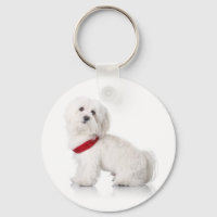 Amour Blanc Bichon Frise Chien Chien Porte - clé