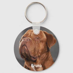 Porte-clés Amoureux des chiens photo personnalisé pour animal