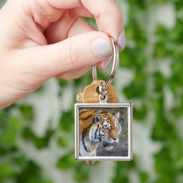 Porte-clés Amur tiger (main)