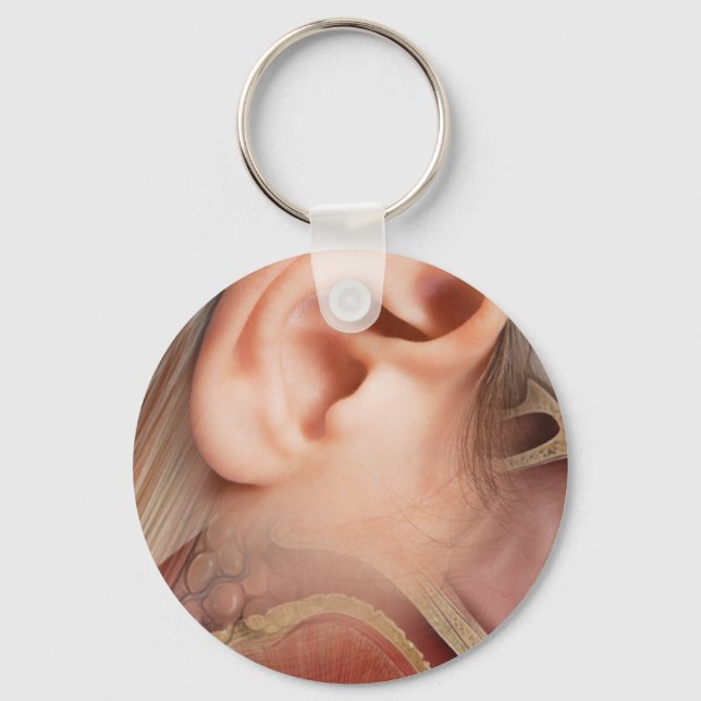 Porte-clés Anatomie des oreilles (Recto)