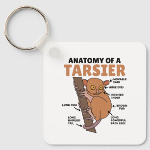 Porte-clés Anatomie Tarsier Mignonne D'Un Tarsier Explication