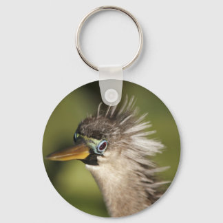 Porte-clés Anhinga
