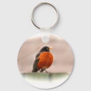 Porte-clés Animal Bird American Robin