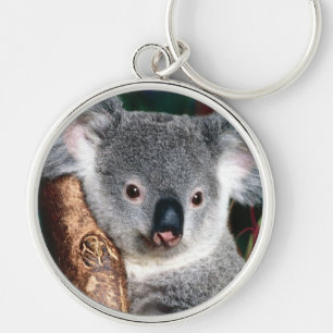 Porte-clés Animal de pays de l'Australie d'ours de koala à