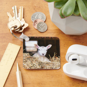Porte-clés Animaux de bébés cutest   Agneau nouveau-né