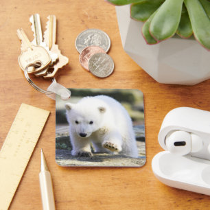 Porte-clés Animaux de bébés cutest   Bébé Ours polaire